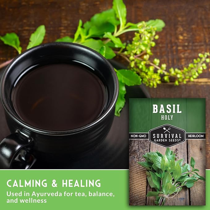 Holy Basil Seed for Planting - Indian Sacred Herb Tulsi Seeds to Grow in Your Home Vegetable Garden - Non-GMO Heirloom Variety - Survival Garden Seeds (3 Packs)