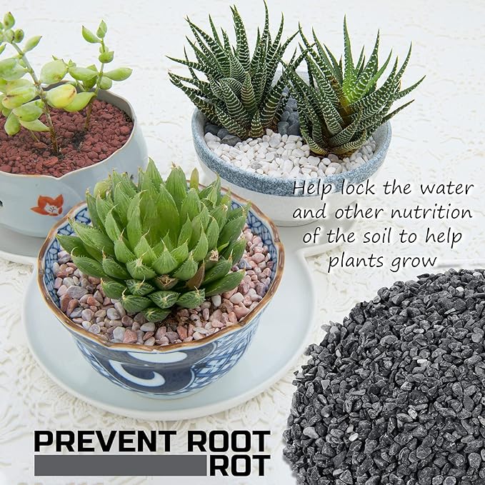 2LBS Horticultural Succulent Rocks Bonsai Mix Succulent Potting Mix Lava Rocks Cactus Soil Potting Mix Amendment