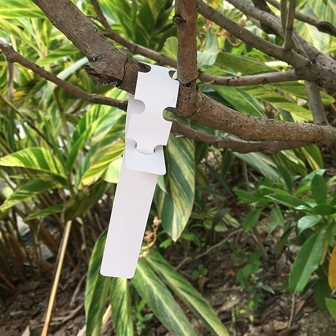 Kecoya 200 PCS White Plastic Plant Tree Tags and Labels Waterproof, Adjustable, Wrap Around, Reusable, Indoor/Outdoor, Garden, Nursery, Greenhouse, Balcony, Plant Labels