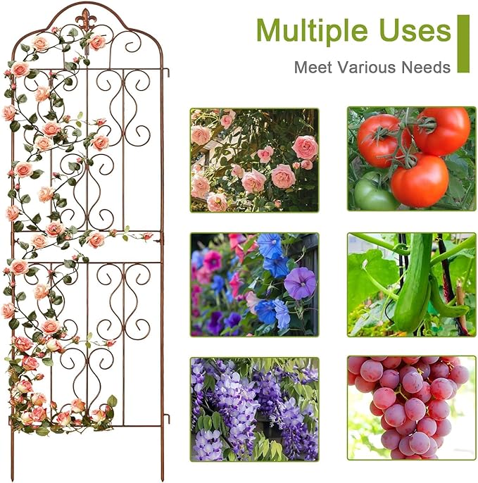 hogardeck 4 Packs 60 * 18 inch Metal Garden Trellis for Climbing Plants Outdoor,Heavy Duty,Gold Coating Rustproof Trellis for Rose, Vegetable, Flowers, Expandable,Perfect for Training Climbing Plants