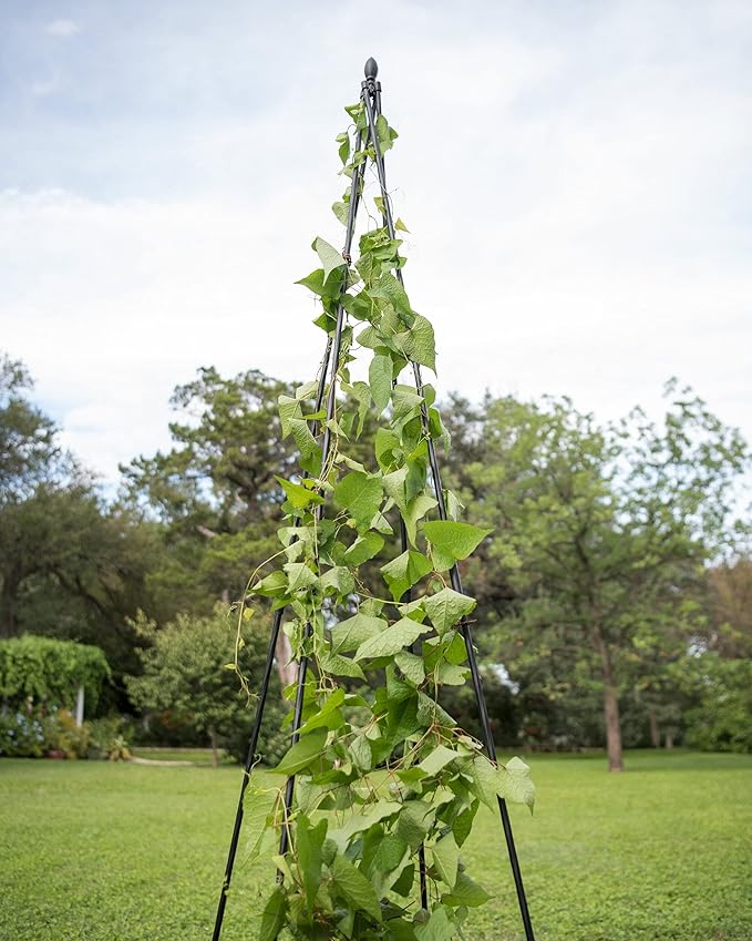 Gardeners Supply Company Extra Tall Garden Teepee Trellis | Sturdy Plant Support for Peas, Beans, Squash, and Other Garden Climbing Vine Plants | Quick and Easy Setup - 87" H
