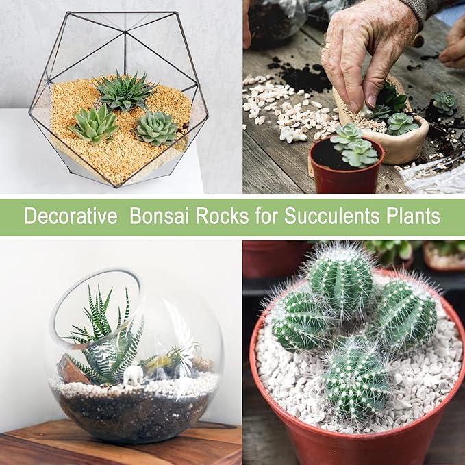2LBS Horticultural Succulent Rocks Bonsai Mix Succulent Potting Mix Lava Rocks Cactus Soil Potting Mix Amendment