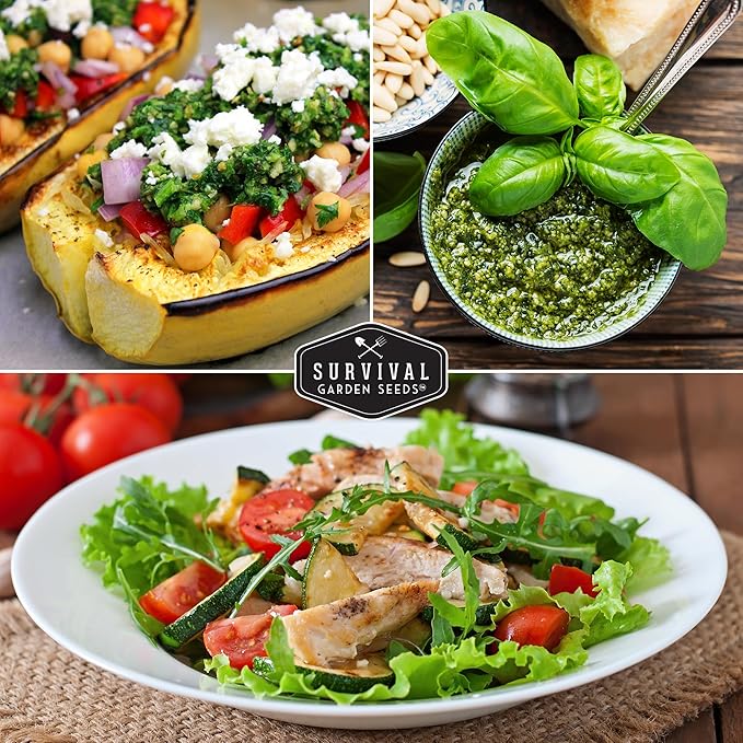 Vegetable Seeds 12 Variety Pack – Veggies & Herbs for Planting Indoor or Outdoor | Basil, Lettuce, Tomato, Cucumber, Winter Squash & More – Heirloom Kitchen Garden Gift Set – Survival Garden Seeds