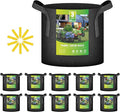 iPower 10-Pack 3 Gallon Plant Bags Heavy Duty Thickened Nonwoven Fabric Potato Growing Pot, Aeration Durable Container with Reinforced Strap Handles, Black
