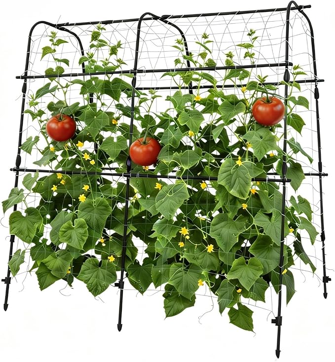 Garden Arch Trellis for Climbing Plants Outdoor, 5.3 ft x 5.3 ft Cucumber & Melon Trellis for Raised Beds, u-Shape Plant Support for Climbing Vegetables, Grapes & Roses, Black