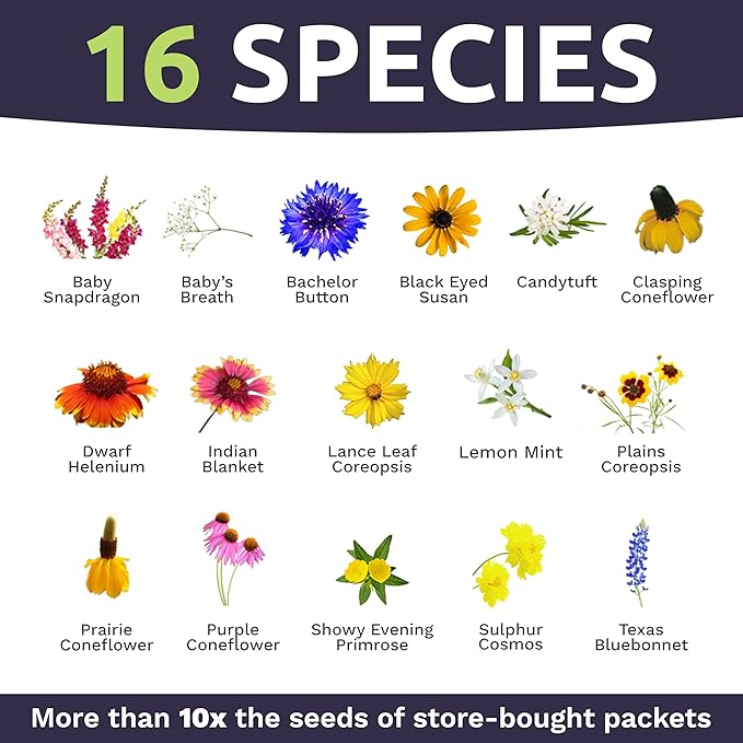 Texas Oklahoma Regional Mix Seeds for Planting - Bulk 1 Pound Bag - Over 240,000 Native Seeds - Open Pollinated and Non GMO