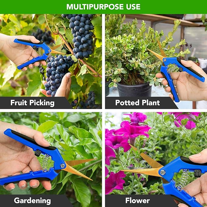 iPower GLPRNR6BLTIX2 2-Pack 6.5” Gardening Hand Pruner Shears with Titanium Coated Curved Precision Blades for Trimming House Plants, Blue