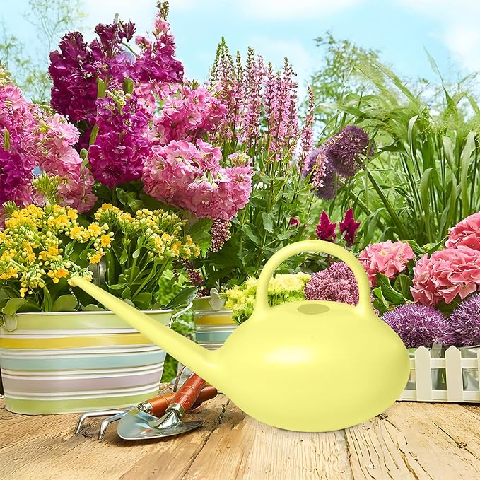 Plant Watering Can - for Indoor Plant Garden - 1/4 Gallon - Yellow