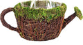 SuperMoss (55260 Deco Watering Can Planter Basket for Plants Home and Garden Decor Perfect Indoor and Outdoor Solutions for Plant Enthusiasts with Liner Medium 7"