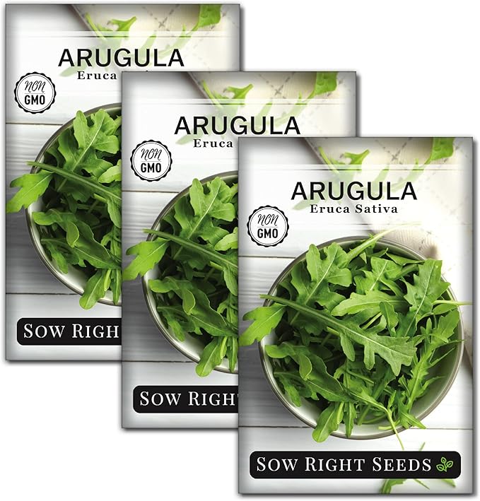 Sow Right Seeds - Arugula Seeds for Planting - Non-GMO Heirloom Seeds with Instructions to Plant a Home Vegetable Garden - Indoors, Hydroponics or Outdoors - Salad Greens - Grow Kitchen Herbs (3)