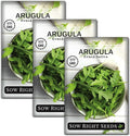 Sow Right Seeds - Arugula Seeds for Planting - Non-GMO Heirloom Seeds with Instructions to Plant a Home Vegetable Garden - Indoors, Hydroponics or Outdoors - Salad Greens - Grow Kitchen Herbs (3)