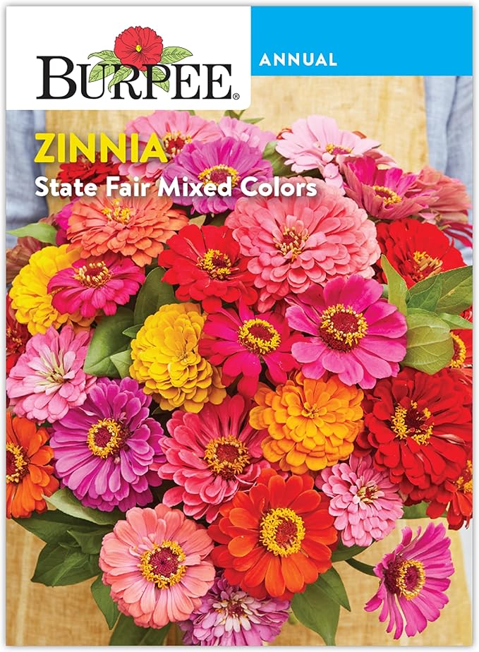 Burpee 'State Fair Mixed Colors' Zinnia Flower Seeds - 650mg Seed Packet for Home Gardening - Heirloom, Mildew Resistant, Annual Cut Flower, Vibrant Mixed Colors, Pollinator Friendly