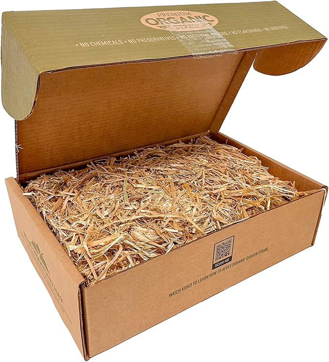 Blue Mountain Hay Organic Garden Straw (5 lb) - Natural Mulch for Gardening, Flower Beds & Landscaping, New Lawn Grass Seeding, Compost, Raised Garden Bed, Cat Grass & Grass Seed