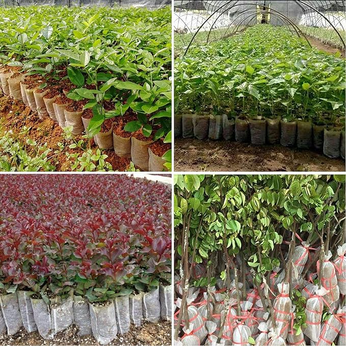 Augshy 200PCS 3.5x4.7 Inches Non-Woven Plant Grow Bags, Breathable Nursery Growing Pots Plant Grow Bags for Seedling Starter, Garden Planting Cultivation