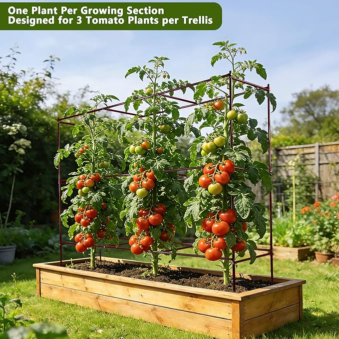 Tomato Cages – 47" H x 58" L x 14" W Row Tomato Trellis, 3-Tier Heavy-Duty Steel Support System for Indeterminate Tomatoes, Supports Up to 6 Plants Per Set