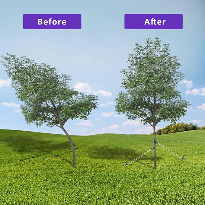 Heavy Duty Steel Tree Support Kit, Tree Stake Kit for Newly Planted Trees Against Bad Weather, Include 6 PCS Tree Straps for Staking, 6 PCS Tree Stakes and 2 PCS Rope of 31.2 FT for Anchoring (2)
