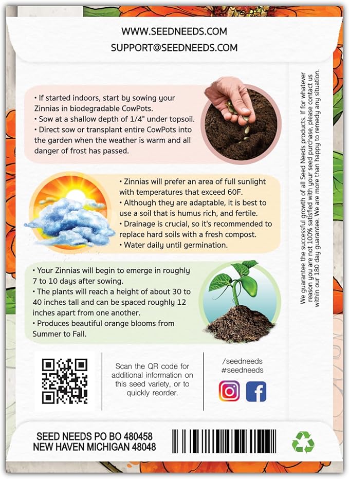 Seed Needs Zinnia Seeds for Planting Orange King Zinnias - Heirloom & Open Pollinated Wildflower Seed to Plant a Butterfly Garden - Great for Cut Flowers (1 Pack)
