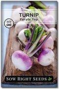 Sow Right Seeds - Purple Top White Globe Turnip Seeds for Planting - Non-GMO Heirloom Packet with Instructions to Plant a Home Vegetable Garden - Early Season, Cold Hardy - Classic Variety (1)