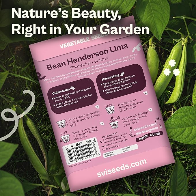 SVI 50 Henderson Lima Bean Seeds (Phaseolus lunatus) – Bush Baby Lima Beans Seed Packets, Green Beans – Heirloom Vegetable Seeds for Outdoor Home Garden, Containers