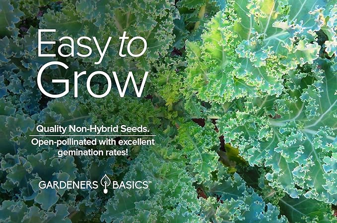 Gardeners Basics Kale Seeds for Planting, Heirloom, Non-GMO Vegetable Variety - Great for Indoor, Outdoor, and Hydroponics Gardening (Dwarf Siberian Improved)