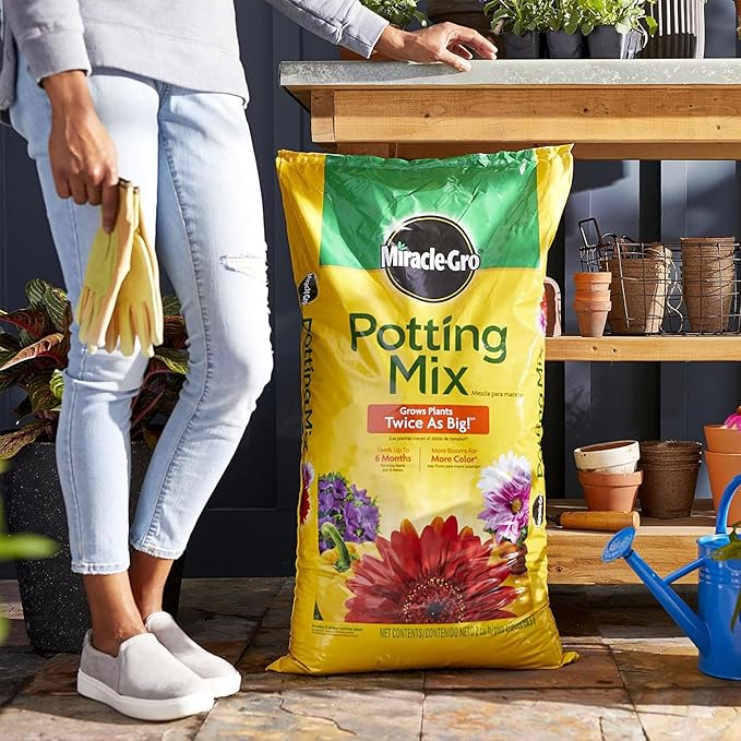 Miracle-Gro 3 Pack Potting Soil Mix for Container Plants, Flowers, Vegetables, Shrubs, Annuals, and Perennials, Feeds for Up to 6 Months, 2 Cu Ft