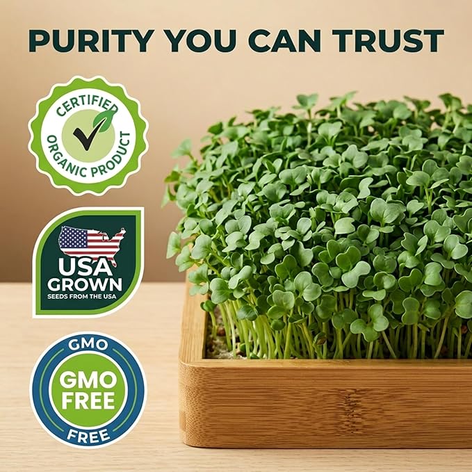 Broccoli Sprouting & Microgreens Seeds - 8oz. Organic, Non-GMO, Heirloom Sprout Seeds Come in Food Grade Colorful Container with Lid for Easier Scooping & Keeping Fresher