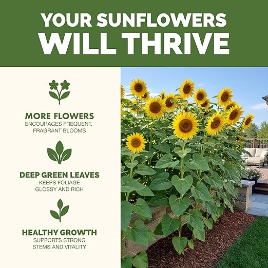 Sunflower Fertilizer – Liquid Plant Food for Bigger Blooms, Strong Stems & Vibrant Flower Color, 32 oz