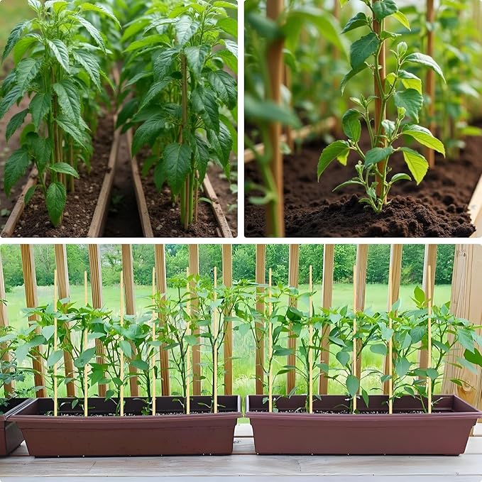 100 PCS 3FT Bamboo Plant Stakes, 6.3mm Thick – 36 Inch Bamboo Sticks for Indoor & Outdoor Plants – Garden Plant Support Stakes for Tomato, Beans, Climbing Plants & More