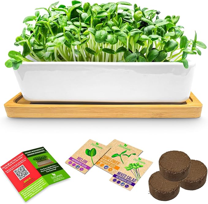 ZESTIGREENS Ceramic Microgreens Growing Kit to Grow 3 Crops Including Organic USDA Sunflower, Melon & Mixed Microgreens Seeds.