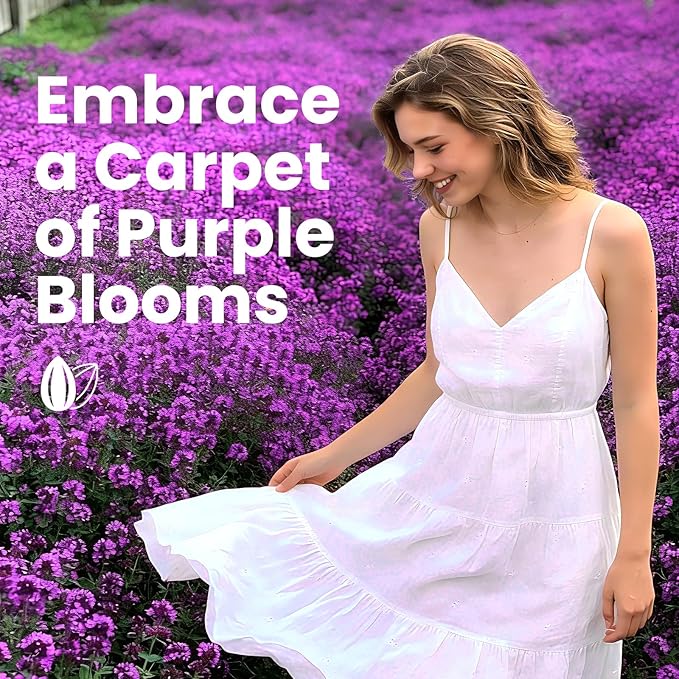 20000+pcs Creeping Thyme Seeds for Planting, Perennial Ground Cover Plants Heirloom Flowers Seeds Fragrant Herb Seeds for Lawns & Paths Garden
