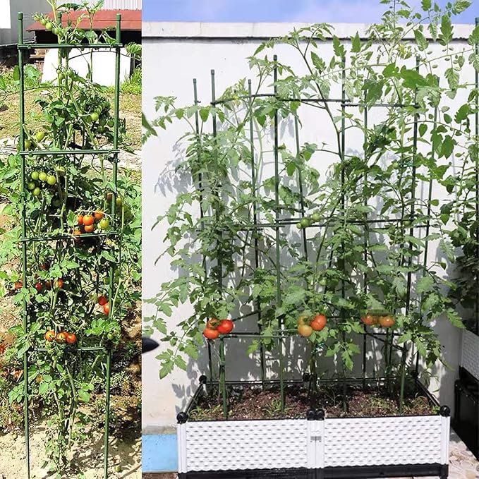 River 50 Pcs Tomato Cage Connectors, Plant Climbing Frame, Connector Bracket, Plastic Adjustable Expandable Stake Arms (Length: 11.8 Inch-2 Bayonet Ports, for 11mm, 50Pcs)