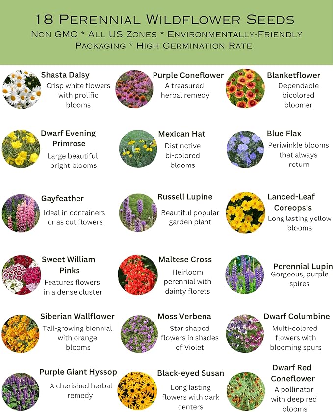 United States Nationwide Bulk Perennial Wildflower Seed Mix - All U.S. Zones - Plant in Spring and Fall (1 Pound Covers 2,000 Square feet) (1/8 Pound (2 Ounces))