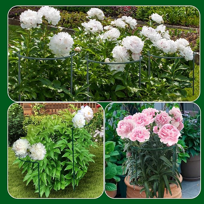 8 Pack Peony Cages and Supports, 10" W x 16" H Plant Support Plant Stakes, Grow Through Plant Supports for Outdoor Plants, Plant Brace Flower Support Rings Hoops for Vegetables,Rose,Tomato,Orchids
