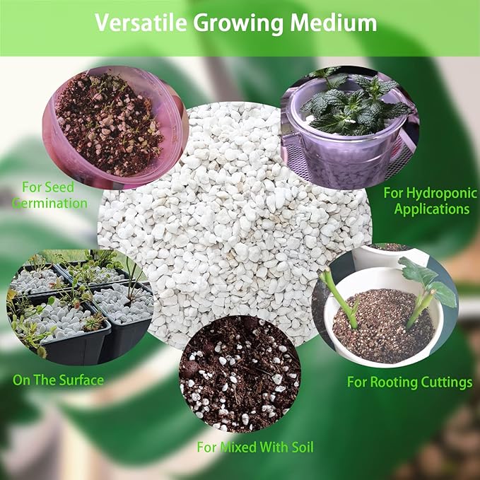 Natural Organic Perlite 15QT for Plants Potting Mix Indoor Outdoor Garden Soil Amendment for Enhanced Drainage, Seed Starter, Root Growth for Succulents, Cactus, Orchids, Money Trees, Vegetables