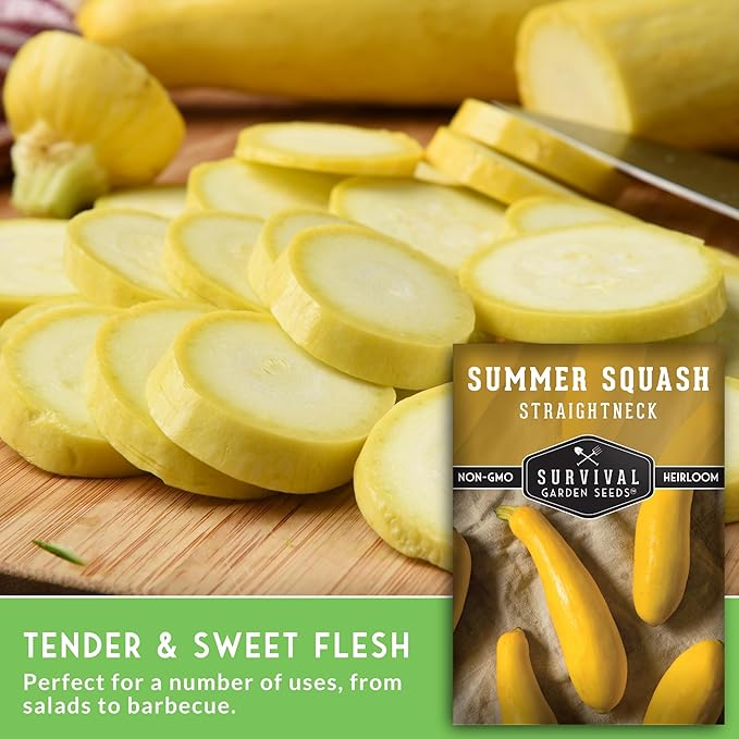 Survival Garden Seeds - Straightneck Summer Squash Seed for Planting - 2 Packets with Instructions to Plant and Grow Yellow Squash in Your Home Vegetable Garden - Non-GMO Heirloom Variety