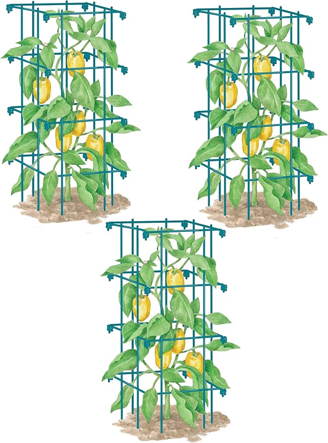 Gardener's Supply Company Pepper and Eggplant Cages Plant Stand | Heavy Gauge Sturdy Garden Plants Support for Eggplants Peppers and Other Climbing Plants | No Assembly Needed | Red 24" H (Set of 3)