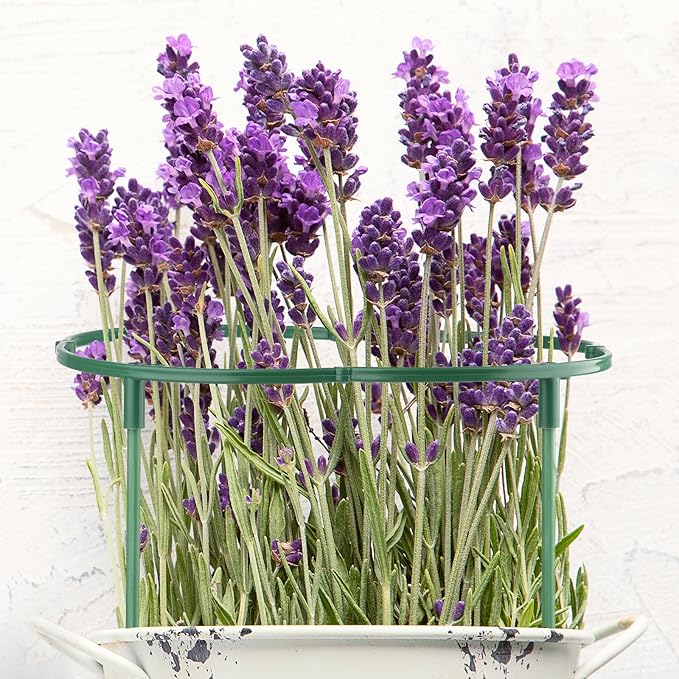 24 PCS Plant Support Stakes, Stackable 3 Tier Garden Flower Support, Half Round Plant Stakes, Tomato Cages, Trellis Support Rings for Climbing Plants Vegetables Flowers Fruits