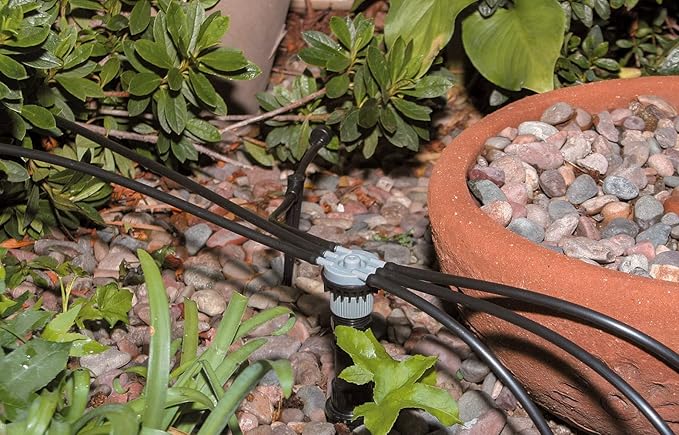 Rain Bird MANIFRE6S Drip Irrigation 6-Port Manifold,Unregulated Free Flow,(Pack of 10)