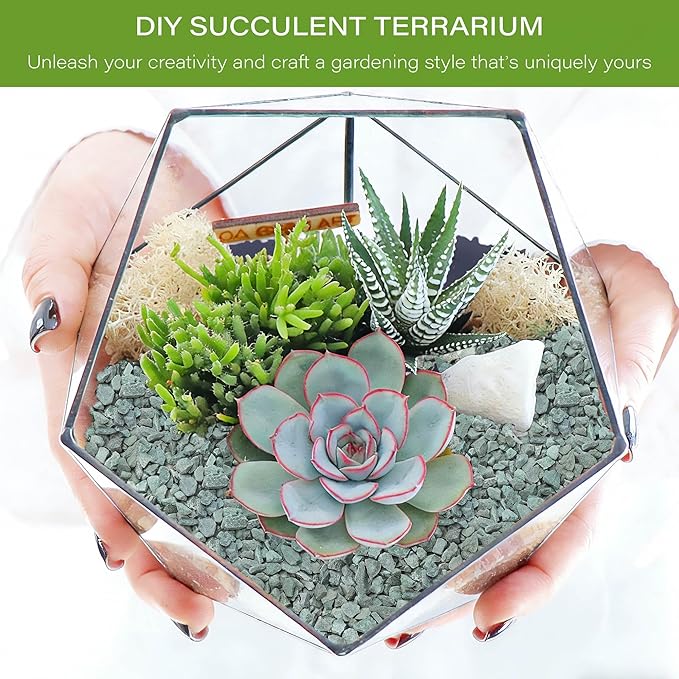 NUPICK 12lb Green Zeolite for Plants, 3/8" Natural Succulent Potting Soil Amendments, Decorative Gravel for Cactus, Bonsai Gritty Rock, Pebbles Pumice for Vase Fillers, Top Dressing
