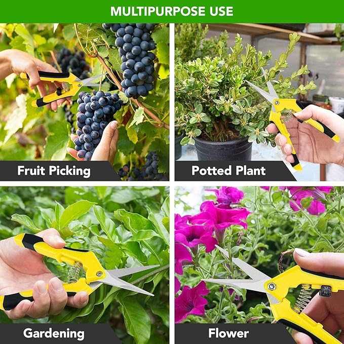 iPower 4Pcs 6.5'' Pruning Shears for Gardening Hand Pruner Trimming Scissors with Straight Stainless Steel Blades for Bonsai, Herb, Bud, Hedge, Yellow