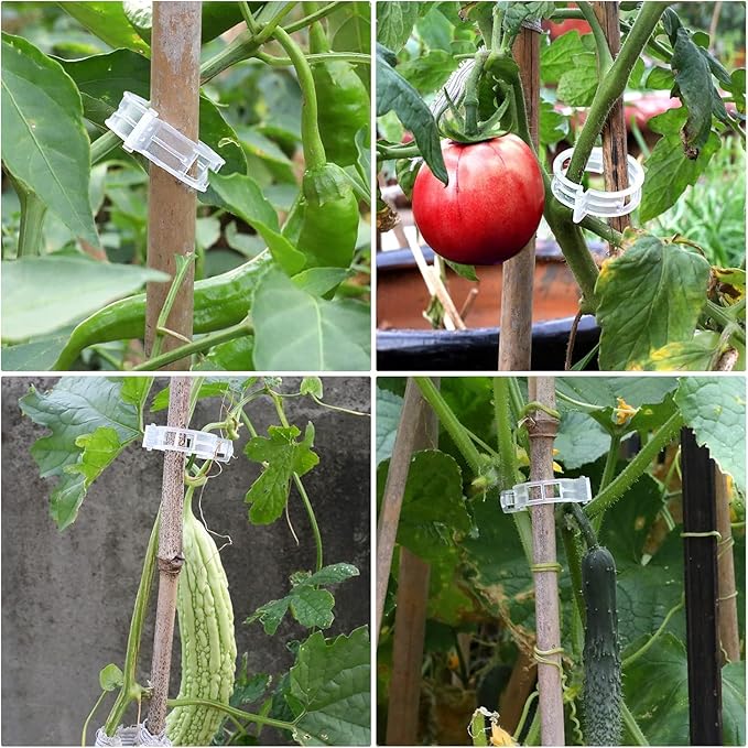 Clearance Deal: 200Pcs Plant Support Clips - Plastic Plant Fixing Clips for Climbing Plants, Tomato Vine Clips, Garden Clips for Securing Stems, Grapes, Vines & Vegetables