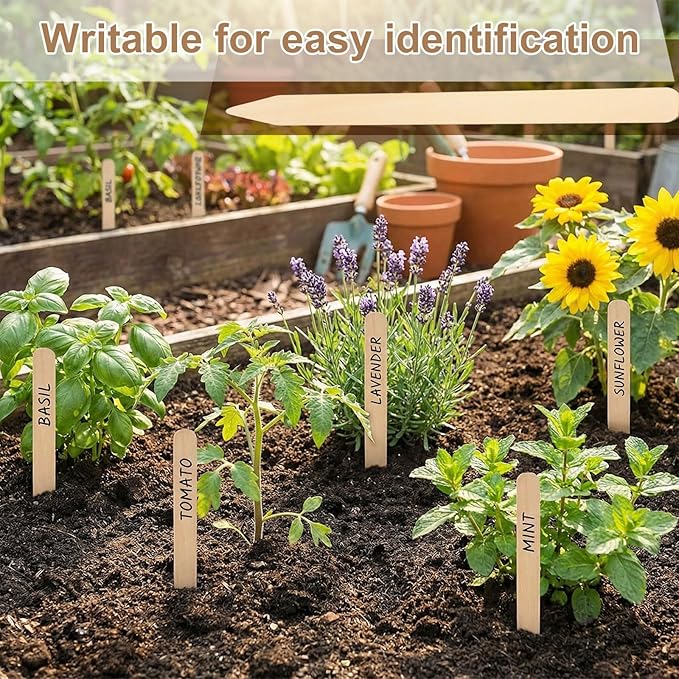 Weysat 100 Pcs 12" Wood Plant Labels for Field or Containers Plant Tags Wood Garden Labels for Seedling Stakes Markers Nursery Seed Tags with Smooth Surface for Pot Herbs Flowers Vegetables (Natural)