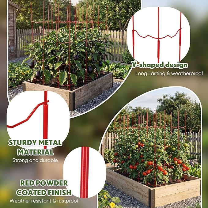 6 Pack Tomato Cage for Garden, 6" W x 6" D x 32" H Pepper and Eggplant Garden Stakes Metal Plant Support Sturdy V-Shape Trellis for Climbing Plants Vegetables Flowers Fruits