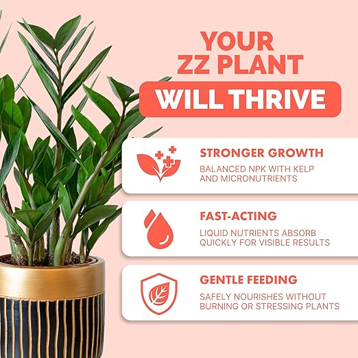 ZZ Plant Fertilizer – Liquid Plant Food for Glossy Green Leaves, Stronger Roots & Healthy New Growth, 32 oz