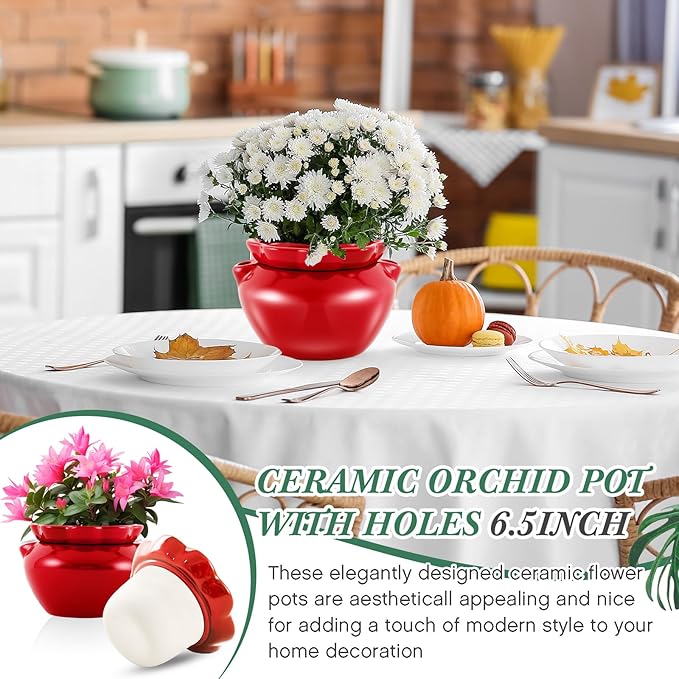 6.3 Inch African Violet Pots, Red Self Watering Pot for Indoor Plants, Ceramic Easy Plant Self Watering Pot for Thriving Plant Flower Maintenance