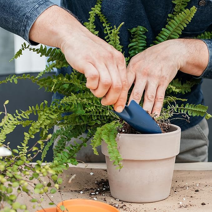 Doter Potting Soil Mix for Fern 4qt, Custom Hand Blended Mixture Suitable for Indoor/Outdoor Potted Fern Plant