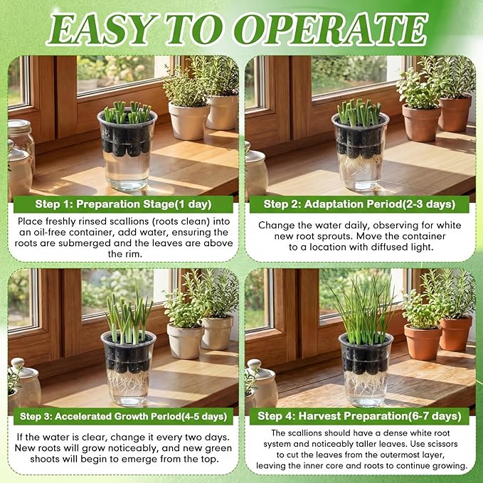 2 Pack Green Onion Planter Scallion Grower Seed Sprouting Kit Compatible with Regular Mouth Mason Jar for Windowsill Garden, Hydroponics, and Propagation Hydroponics Enthusiasts (Black)