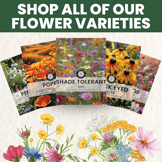 Shade Tolerant Mix – 56,000 Wildflower Seeds for Pollinator Gardens – 2026 Season – 4 Ounce Pouch