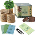 Garden Republic Indoor Herb Garden Kit - DIY Herb Plants Starter Economy Kit - Grow Kits for Growing Herbs Indoors, Kitchen, Balcony, Window Sill - Basil, Parsley, Cilantro