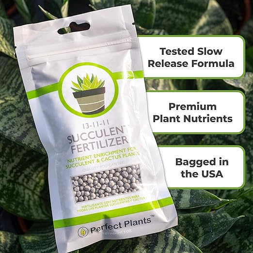 Succulent and Cactus Fertilizer in 5oz. Bag | Long Lasting Gentle Plant Food Formula for All Live Succulents, Cacti, and Other Desert Houseplants